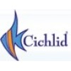Cichlid