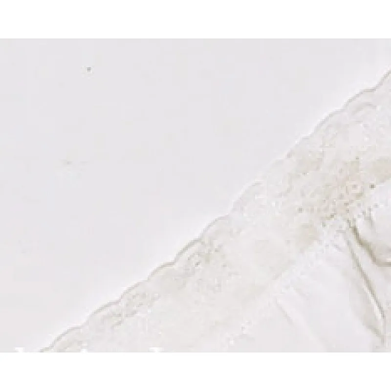 ВЕНЕРА Комплект бельо за момиче-бял 2-951