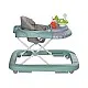 Bertoni Line Проходилка GREEN GARDEN MINT/GREEN