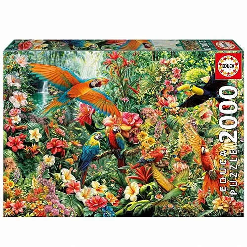 Пъзел, Educa, Амазонски птици, 2000 части