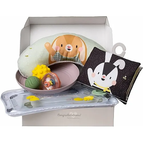 Комплект за новородено, Taf Toys, Бебешки комплект, зайчето Джени, 7 части