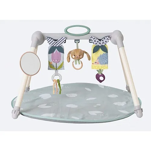 Активна гимнастика, Taf Toys, Зайче Джени и приятели, 77 x 59 x 49 см