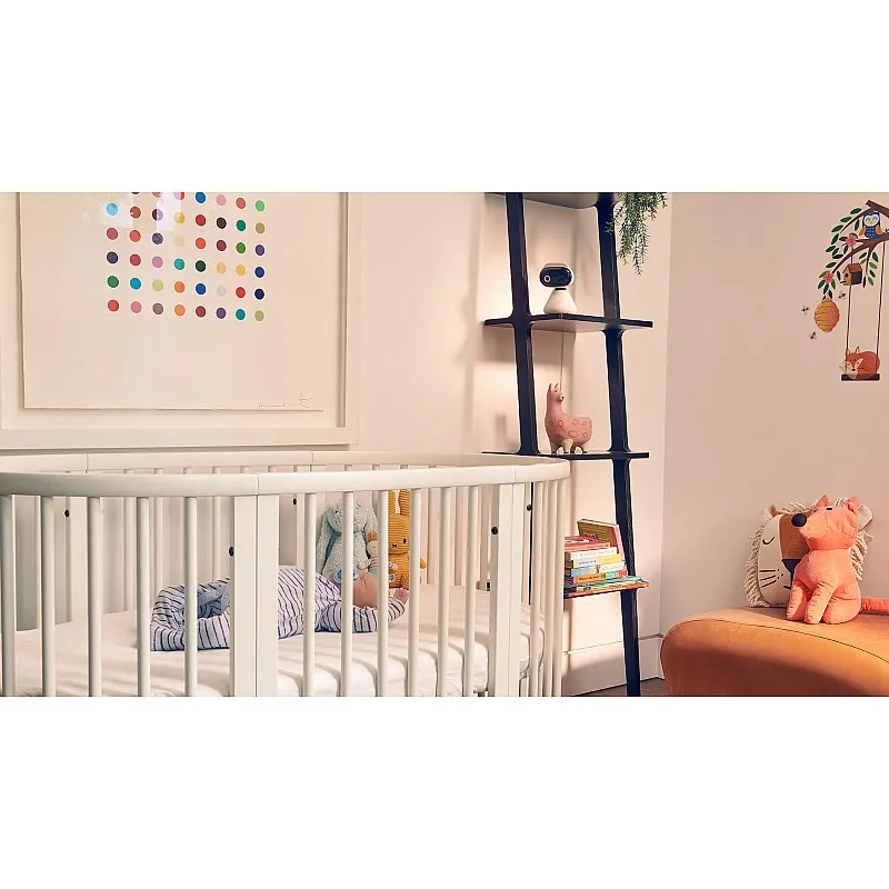 Motorola PIP1000 IP камера