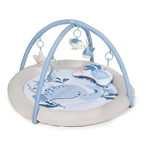 KinderKraft COZYPLAY активна гимнастика NORGIC BREEZE