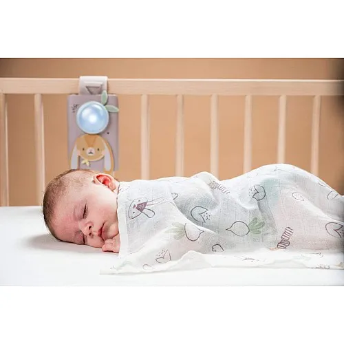 Комплект музикално зайче с бял шум и одеалце, Taf Toys