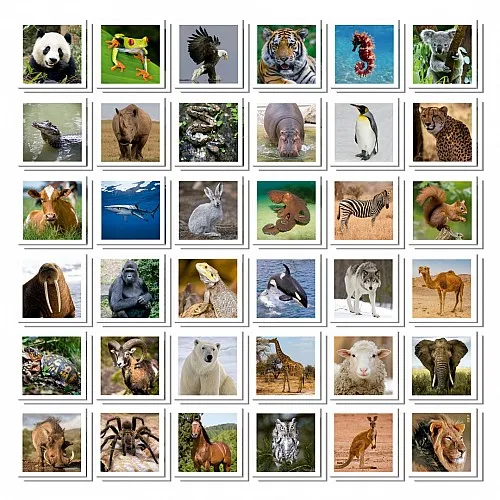 Игра за памет в куфарче, Educa, Животни, 72 карти