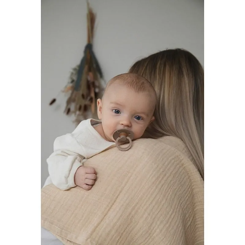 BIBS 2 бр. Залъгалки COLOUR, Ivory/Dark Oak, 6-18 месеца