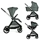 Chicco Duo Система Bellagio Fir Tree