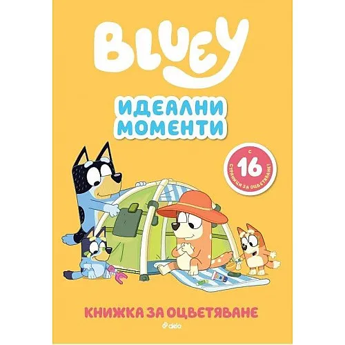 Блуи: Идеални моменти