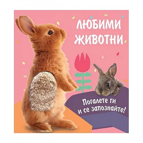 Любими животни - погалете ги и се запознайте!