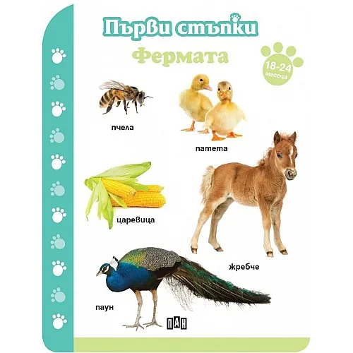 Първи стъпки - Фермата 18-24м