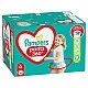 Pampers Гащички за еднократна употреба 6 Extra Large 14-19кг - 84бр.